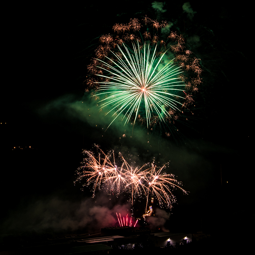 Mosaici di palme oro con peonia verde e fiori crack | Spettacoli pirotecnici misti | Brixia Fireworks